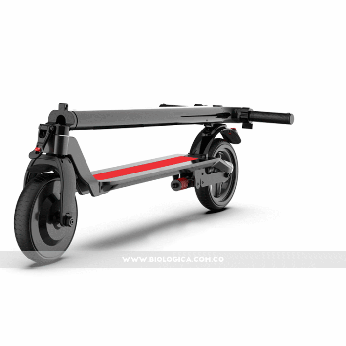 BRANDING PATINETA 2c