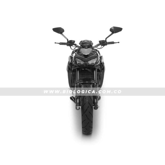 Z9 (05) copia Moto Eléctrica Biológica Z9 (05)