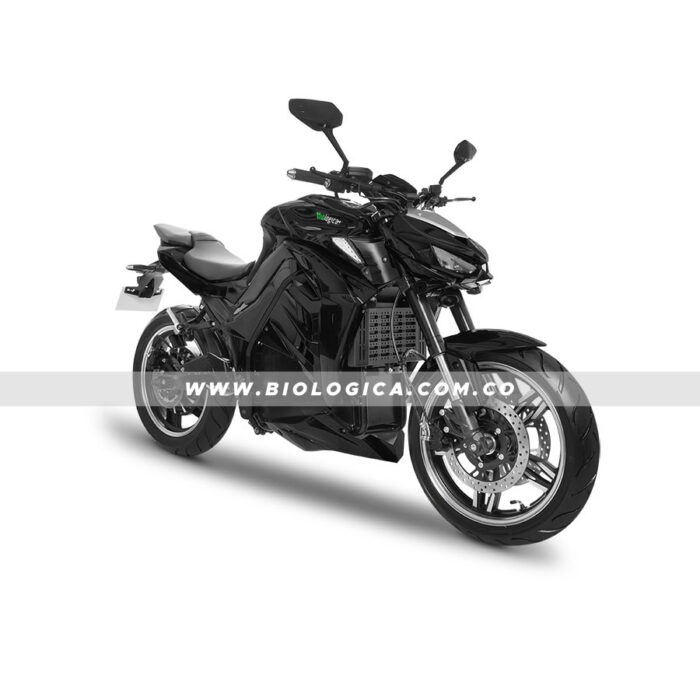 Z9 (07) copia Moto Eléctrica Biológica Z9 (07)