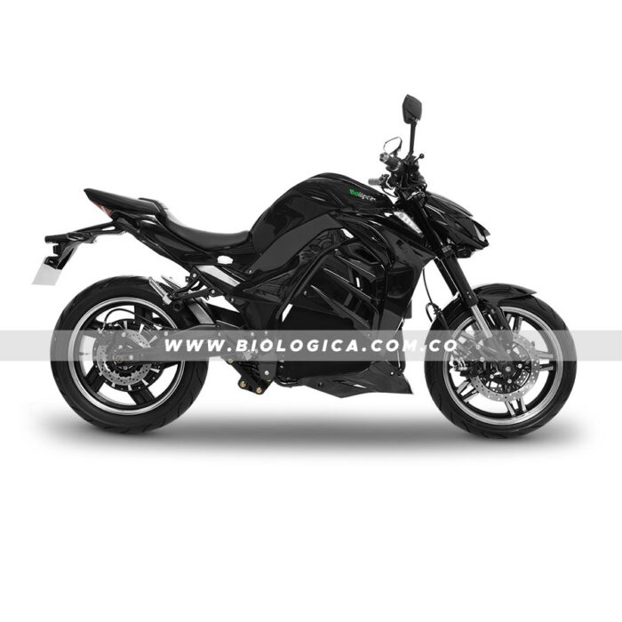 Z9 (09) copia Moto Eléctrica Biológica Z9 (09)