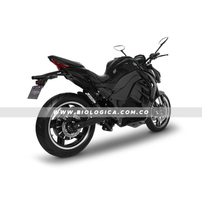 Z9 (11) copia Moto Eléctrica Biológica Z9 (11)