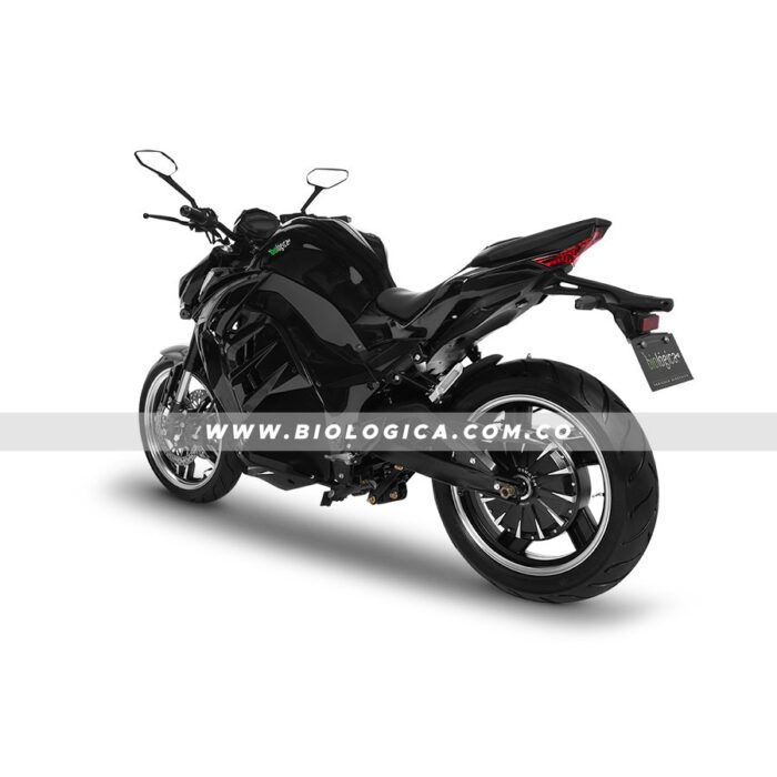 Z9 (15) copia Moto Eléctrica Biológica Z9 (15)