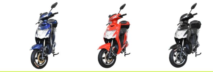 DOMA Rojo azul y negro DOMA Rojo azul y negro